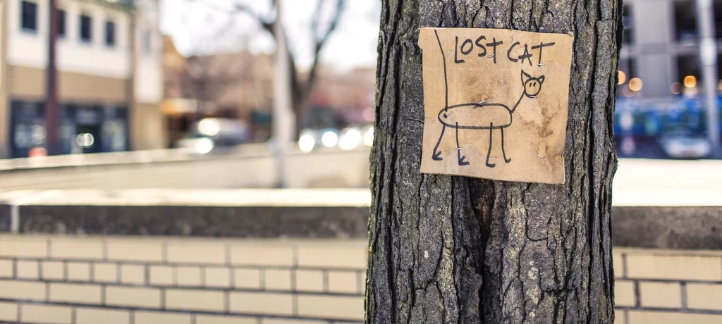 Free drawing lost cat sign